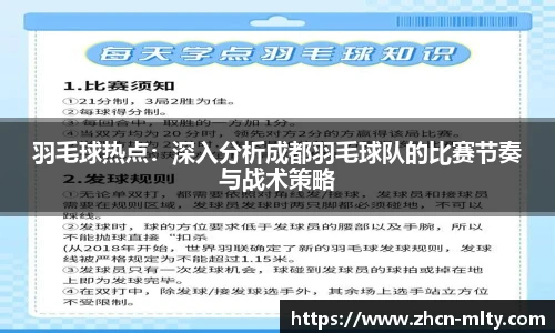 羽毛球热点：深入分析成都羽毛球队的比赛节奏与战术策略