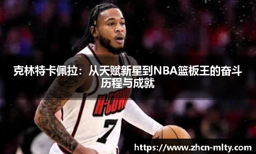 克林特卡佩拉：从天赋新星到NBA篮板王的奋斗历程与成就